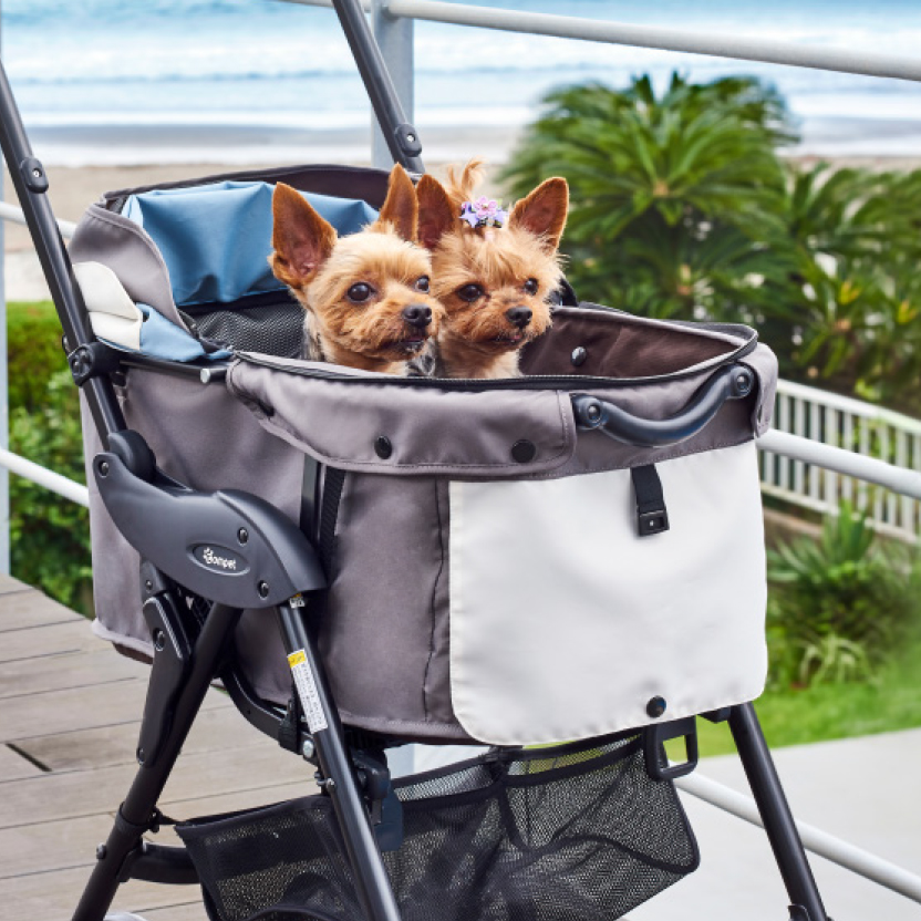 Pet Business
