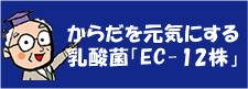 からだを元気にする 乳酸菌「EC-12株