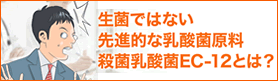 生菌ではない先進的な乳酸菌原料、殺菌乳酸菌EC-12とは？