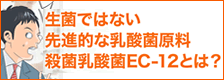 生菌ではない先進的な乳酸菌原料、殺菌乳酸菌EC-12とは？