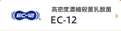 殺菌乳酸菌 EC-12