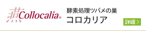 酵素処理ツバメの巣 コロカリア