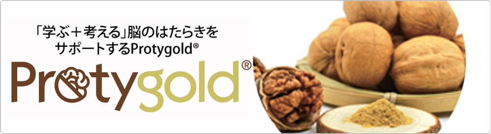 「学ぶ+考える」脳の働きをサポート「Protygold<sup>®</sup>(プロティゴールド<sup>®</sup>)」