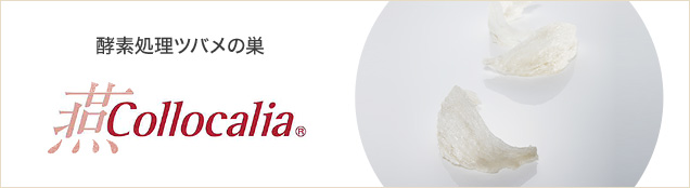 磨き抜かれた伝承 Collocalia