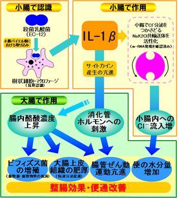Ɖu@\ʂ̍p@