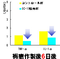 db-12ጁijiOt