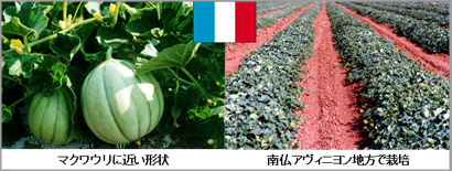 ͓郁