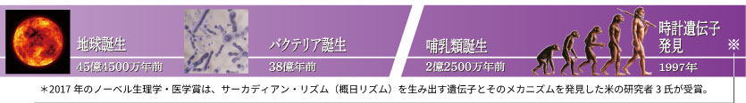 体内時計とは