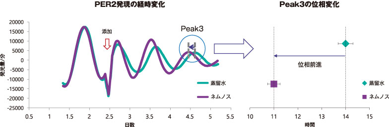 ネムノス添加によるリズムの位相変化を検証