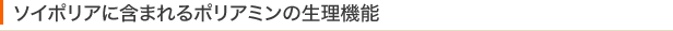 ソイポリアに含まれるポリアミンの生理機能