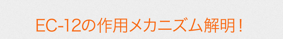 EC-12の作用メカニズム解明！