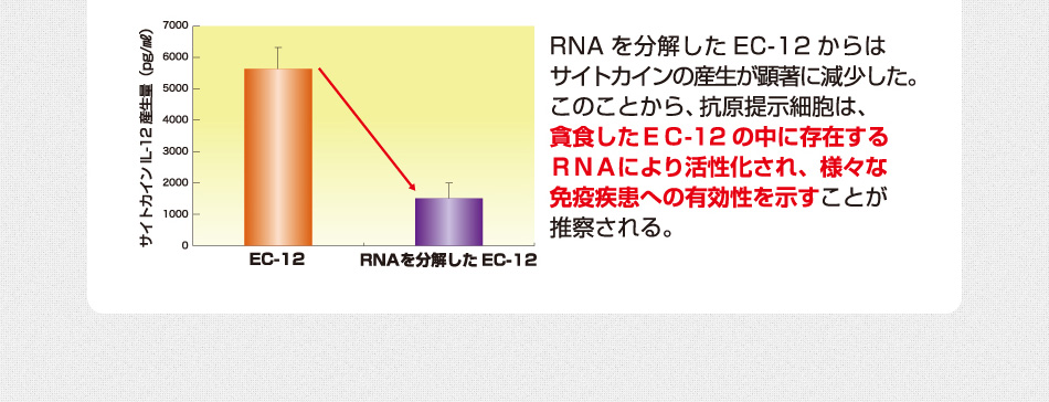 RNAを分解したEC-12からはサイトカインの産生が顕著に減少した。このことから、抗原提示細胞は、貧食したEC-12の中に存在するRNAにより活性化され、様々な免疫疾患への有効性を示すことが推察される。