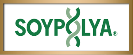 ソイボリア