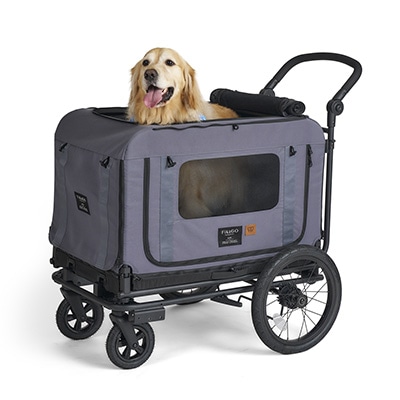 フィカゴー クイーンＭ