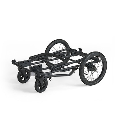 フィカゴー キング