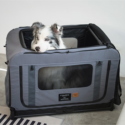 フィカゴー クイーンＭ