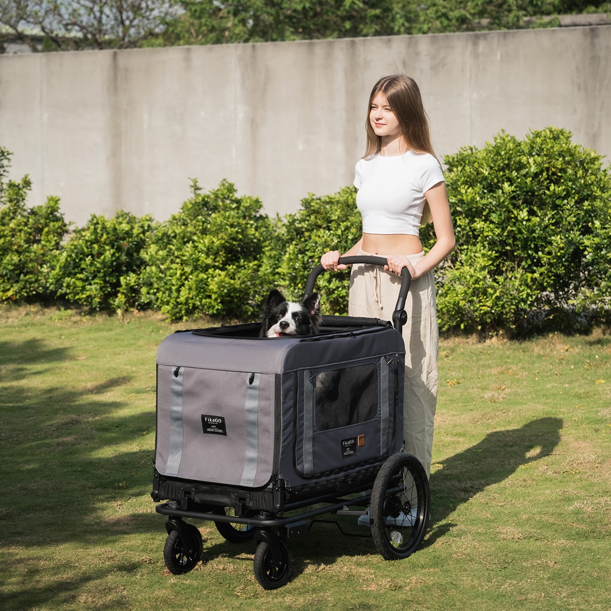 フィカゴー キング