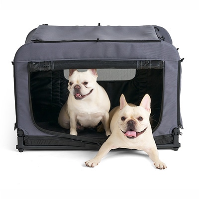 フィカゴー クイーンＭ