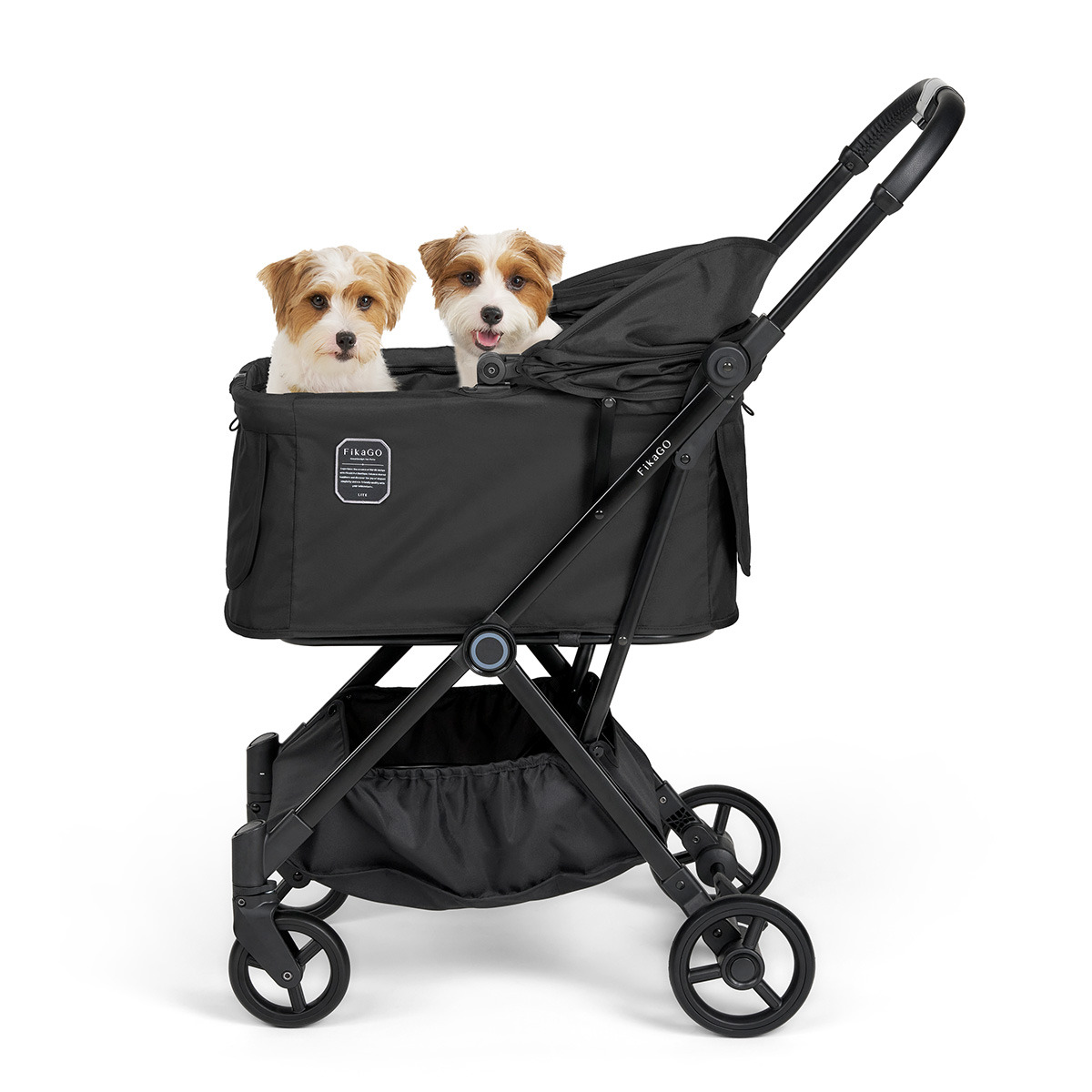 フィカゴー ライト