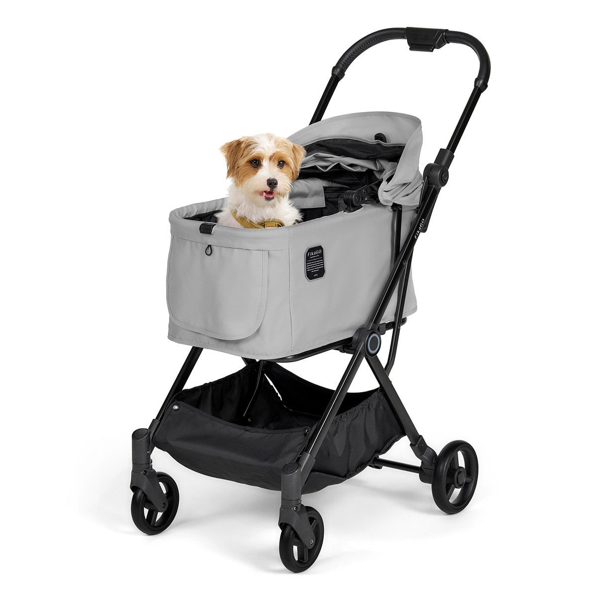 フィカゴー ライト