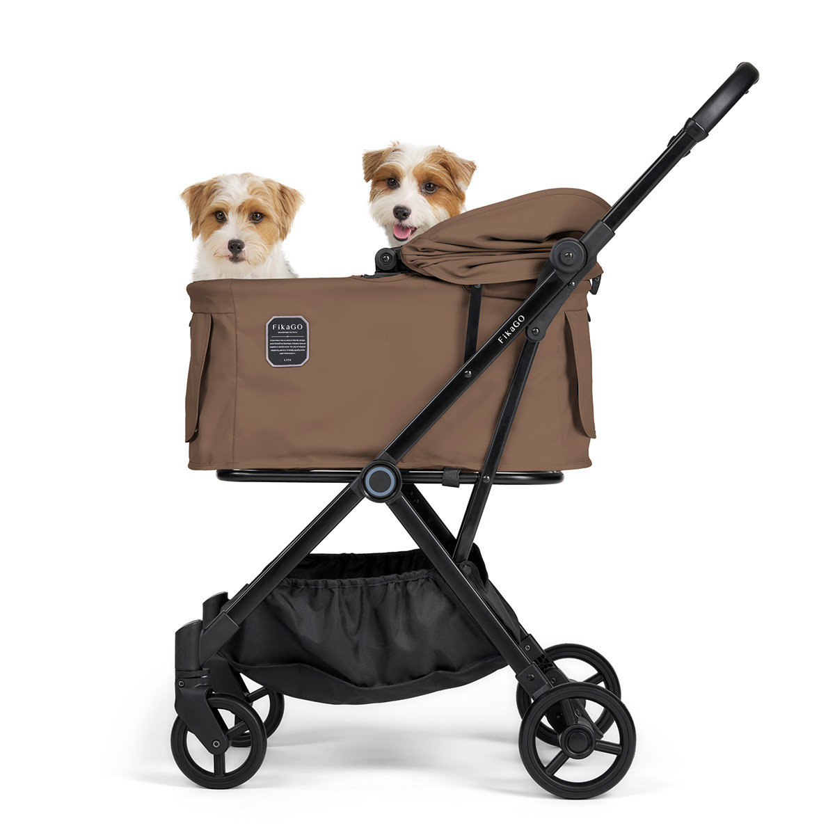 フィカゴー ライト