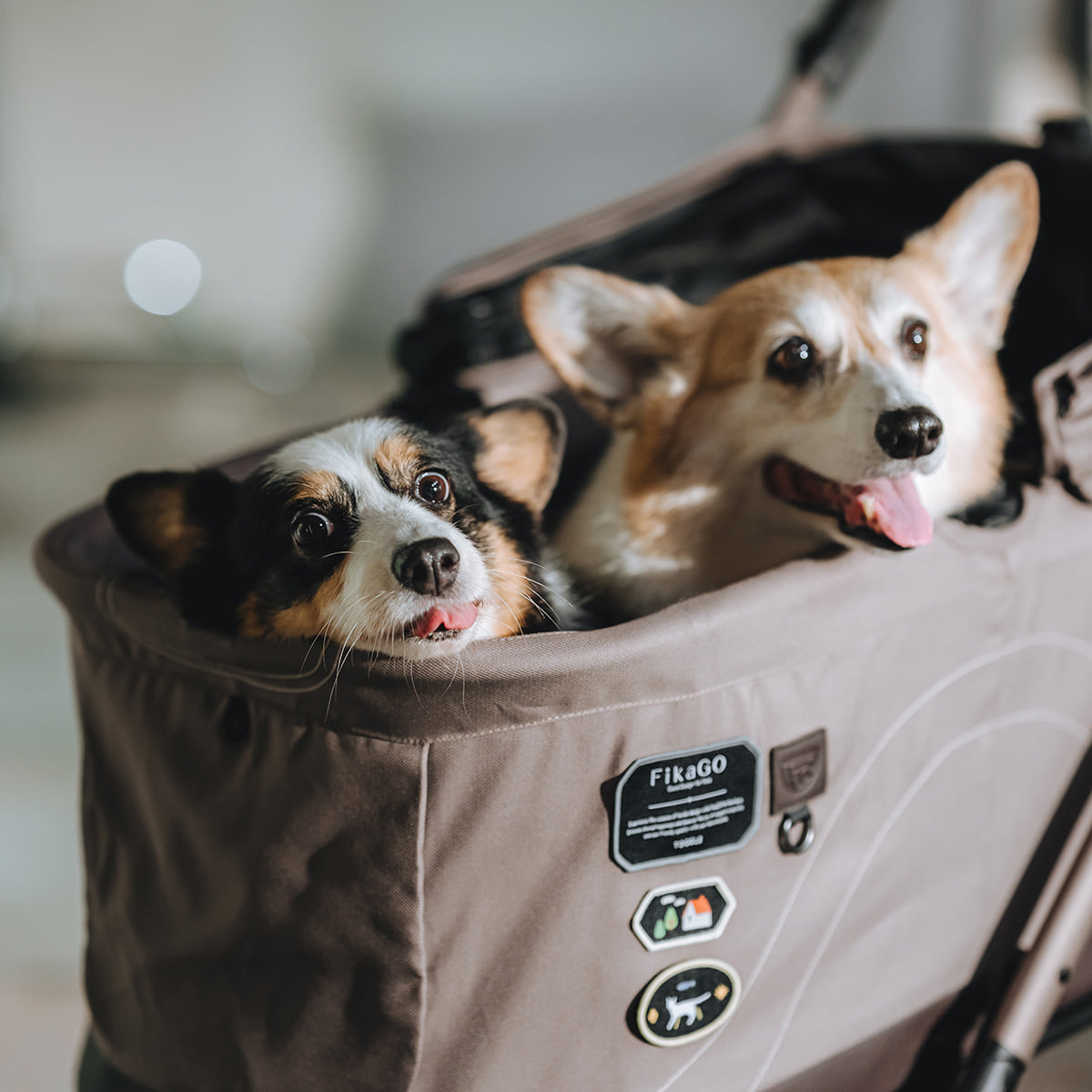 フィカゴー トグル