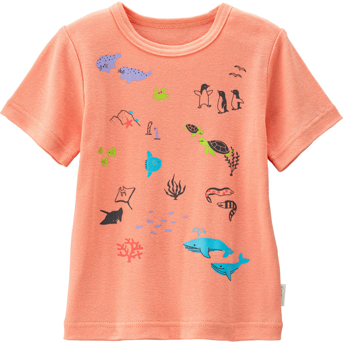 らくちん半袖tシャツ 海のともだち ベビー用品 ベビー服の通販ならコンビブランドストア らくちん半袖tシャツ 海のともだち ベビー用品 ベビー服の通販ならコンビブランドストア