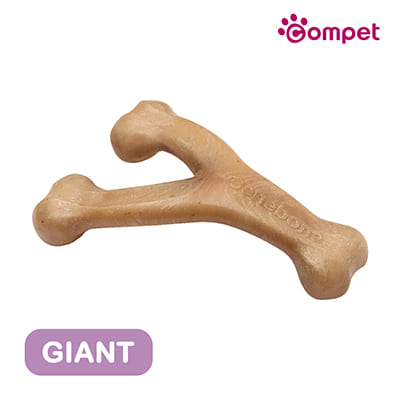 ベネボーン ウィッシュボーン ジャイアント