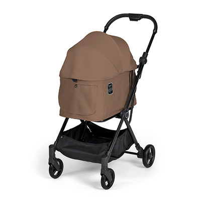 フィカゴー ライト