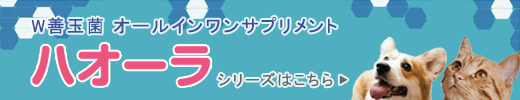 W善玉菌 オールインワンサプリメント ハオーラシリーズはこちら
