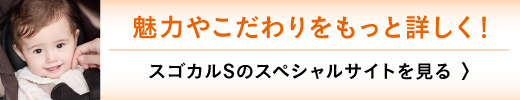スゴカルS