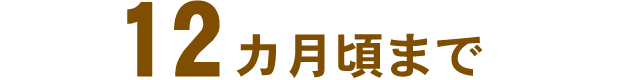 12カ月頃まで