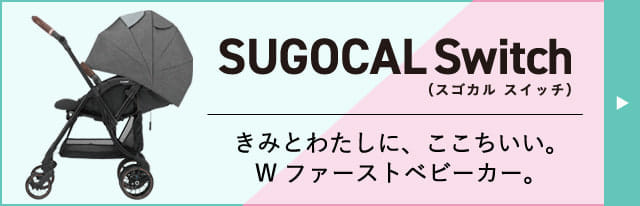 スゴカルSwitch