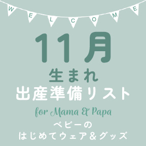 - 11月生まれ -出産準備リスト
