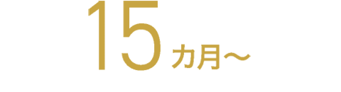 15カ月～
