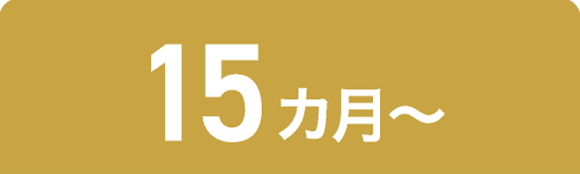 15カ月～