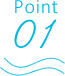 point01