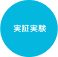 実証実験