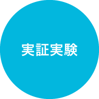 実証実験