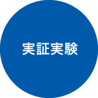 実証実験