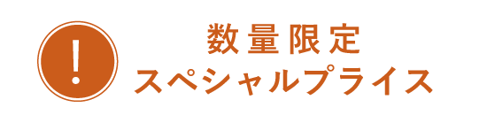 数量限定！スペシャルプライス