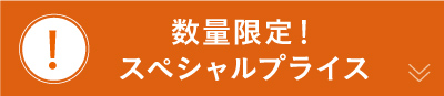 数量限定！スペシャルプライス