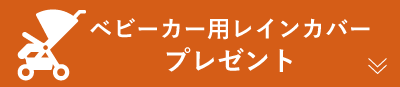 新規会員登録でポイントプレゼント